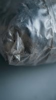 Frozen prehistoric creature head with sharp teeth preserved in ice block showing ancient predator fossil specimen for paleontology and natural history concepts.