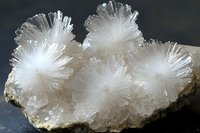 White scolecite crystal clusters with radiating needle-like formations on dark matrix, displaying natural mineral growth pattern and delicate crystalline structure.