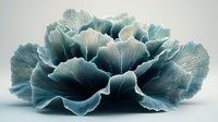 Layered cabbage head with textured blue-green and white leaves isolated on neutral background, suitable for food, agriculture, and design projects.