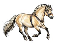 Cream-colored horse with dark mane and tail wearing saddle and bridle, isolated on white background. Suitable for equestrian designs, t-shirts, and clipart applications.