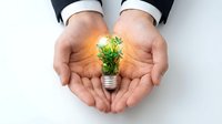 Businessman hands holding glowing light bulb with green plant inside symbolizing eco-friendly innovation and sustainable business growth solutions.