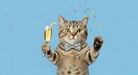 Tabby cat wearing bow tie holding champagne glass with paw raised celebrating against blue background, confetti falling, festive party concept for celebrations and special occasions.