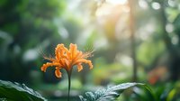 Vibrant orange lily flower blooming in lush green forest with soft sunlight bokeh background, creating serene natural atmosphere.
