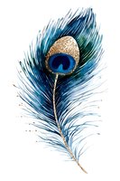 Vibrant watercolor peacock feather with gold accents and deep blue eye, isolated on white background for decorative art projects.