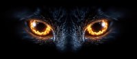 Glowing amber eyes of a predator animal in darkness, intense gaze with fiery pupils against black fur, creating dramatic wildlife portrait.