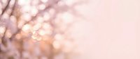 Soft blurred bokeh background with warm peachy pink tones and gentle light particles, suitable for overlays, presentations, and design projects.