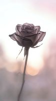 Single purple rose bloom with soft petals on dreamy pastel background for romantic designs and floral artwork projects.