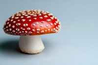 Red and white spotted mushroom amanita muscaria macro photography against light blue background, showing detailed texture of fungus cap and stem.