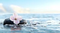 Pink delicate flower on black spa stone surrounded by water drops and gentle waves, creating serene zen atmosphere with soft blue tones and bokeh effect.