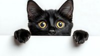Adorable black kitten with bright yellow eyes peeking over white surface with paws visible, isolated on white background for design projects.