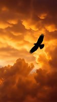 Majestic eagle soaring through dramatic orange sunset clouds with wings spread wide against fiery sky for inspirational and freedom concepts.