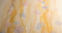 Soft watercolor abstract background with flowing yellow and purple washes creating dreamy artistic texture for creative projects and design work.