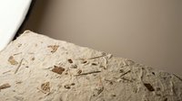 Ancient fossil specimens embedded in sedimentary rock formation showing prehistoric marine life imprints for paleontology research and education.