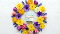 Spring flower wreath with gift box center featuring daffodils, tulips, ranunculus and grape hyacinth on white background for seasonal celebrations.