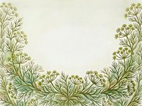 Botanical border frame with delicate green and gold wildflower clusters and feathery foliage on cream background, isolated for design use on invitations, cards, and layouts.