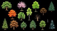 Colorful tree collection isolated on transparent background, featuring seasonal deciduous and evergreen varieties, ready for clipart, stickers, t-shirt design, and print on demand use.