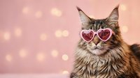 Adorable Maine Coon cat wearing heart-shaped sunglasses against soft pink bokeh background for Valentine's Day celebration and romantic pet concepts.