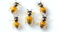 Five yellow and black striped honey bees arranged in symmetrical pattern on white background, isolated macro view for nature and wildlife design projects.