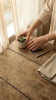 Woman hands gently touching small succulent plant in white pot on rustic wooden table near window with soft natural light for home decor and wellness.