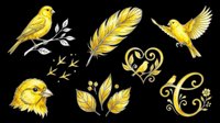 Bright yellow songbirds, feathers, and decorative flourishes isolated on transparent background. Ready for t-shirt design, clipart, stickers, sublimation, and print-on-demand projects.