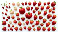 Fresh ripe strawberries collection with white and red varieties arranged in rows on white background, perfect for healthy food designs and recipes.