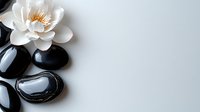 White lotus flower with black spa stones on light gray background, wellness and meditation concept for spa treatments and relaxation practices.