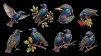 Iridescent starling birds clipart set, isolated on transparent background, ready for t-shirt design, stickers, sublimation, print on demand, and digital crafts.
