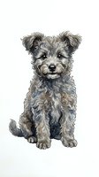 Adorable curly-haired puppy with gray and cream coat sitting isolated on white background, perfect for pet-related designs, greeting cards, and merchandise.