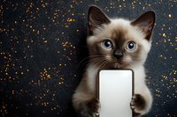 Adorable Siamese kitten with blue eyes holding blank white card against sparkling golden bokeh background for holiday greetings and announcements.