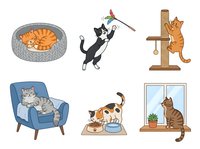 Cats playing with toys, resting in chair, eating from bowls, and sitting on windowsill. Isolated clipart set for pet care designs, greeting cards, and animal-themed projects.