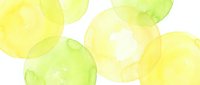 Watercolor circles in yellow and green hues with soft translucent overlapping effects creating organic abstract pattern on white background for modern design.