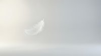 Single white feather floating against soft neutral background, isolated and ready for design use on apparel, marketing materials, and creative projects.