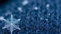 Single delicate snowflake with intricate crystalline structure resting on frost-covered surface with bokeh background for winter holiday designs.
