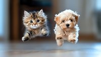 Playful kitten and puppy jumping together in synchronized motion against blurred background, capturing friendship between young pets in heartwarming moment.