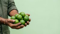 Farmer holding fresh green limes in hands against pale background. Suitable for agriculture, organic produce, and food industry marketing materials.