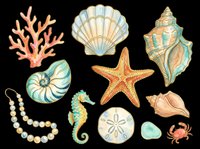 Watercolor ocean clipart set with shells, coral, starfish, seahorse, crab, and pearls, isolated on transparent background. For T-shirts, stickers, print on demand.