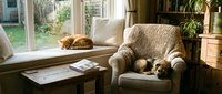 Cozy living room interior with orange tabby cat sleeping on window sill and armchair, natural sunlight streaming through large windows creating warm atmosphere.