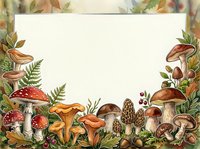 Autumn forest mushroom frame with various fungi species, ferns and berries on textured paper background for seasonal design projects.