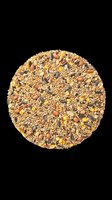 Round mixed bird seed cake with sunflower seeds, millet, corn and peanuts, isolated on transparent background, ready for pet care clipart, stickers, and print on demand.