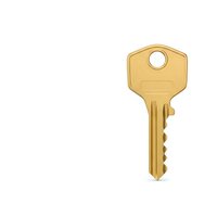 Golden brass house key isolated on white background for security and access design projects.