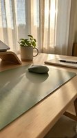 Minimalist home office workspace with green mouse pad, wireless mouse, plant in ceramic mug and notebook on wooden desk with warm natural sunlight streaming through curtains.