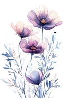 Watercolor purple poppies with delicate stems and leaves on white background for botanical art, wedding invitations, and feminine decor projects.