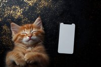 Smiling ginger cat next to blank smartphone screen on dark background with golden glitter sparkles. Mock up for mobile app or social media content.