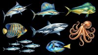 Colorful ocean creatures clipart set isolated on transparent background, featuring shark, octopus, tropical fish, and more. Great for t-shirts, stickers, print on demand.