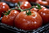 Fresh ripe red tomatoes with water droplets on black wire rack, organic vegetables ready for cooking and healthy meal preparation.