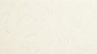 Cream colored textured paper background with subtle fiber patterns and natural organic surface for elegant design projects and artistic applications.