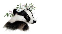 Gentle badger portrait with floral crown featuring white daisies and delicate green leaves, artistic nature illustration on white background for nursery art and stationery.