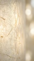 Close-up macro shot of delicate leaf skeleton showing intricate vein patterns and natural texture with soft bokeh background for organic design projects.