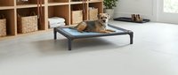 Small dog resting on elevated pet bed in modern minimalist living room with wooden storage cubbies and wicker baskets for home interior design.