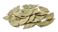 Dried bay leaves scattered on white background, aromatic herb spice for cooking and culinary seasoning, isolated natural ingredient for kitchen use.